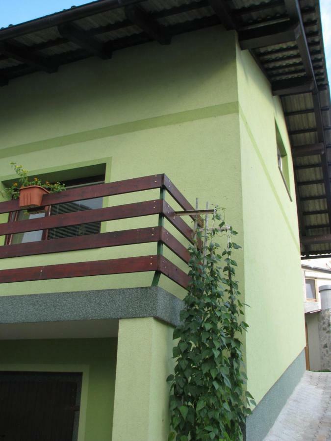 Apartma Juha - Breg pri Borovnici Экстерьер фото